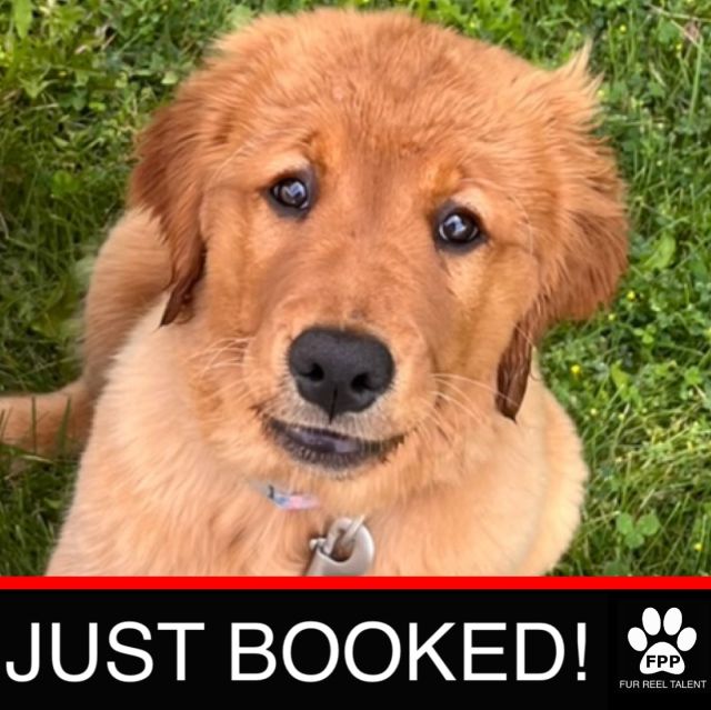 JUST BOOKED! Reve booked an upcoming photoshoot!