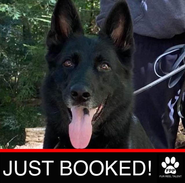 JUST BOOKED! Kinky booked a role in an upcoming series!