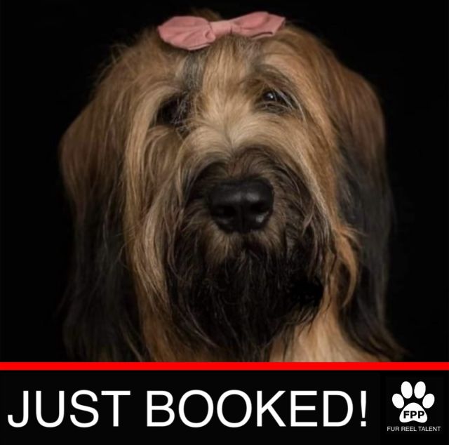 JUST BOOKED! Olive booked an upcoming commercial!