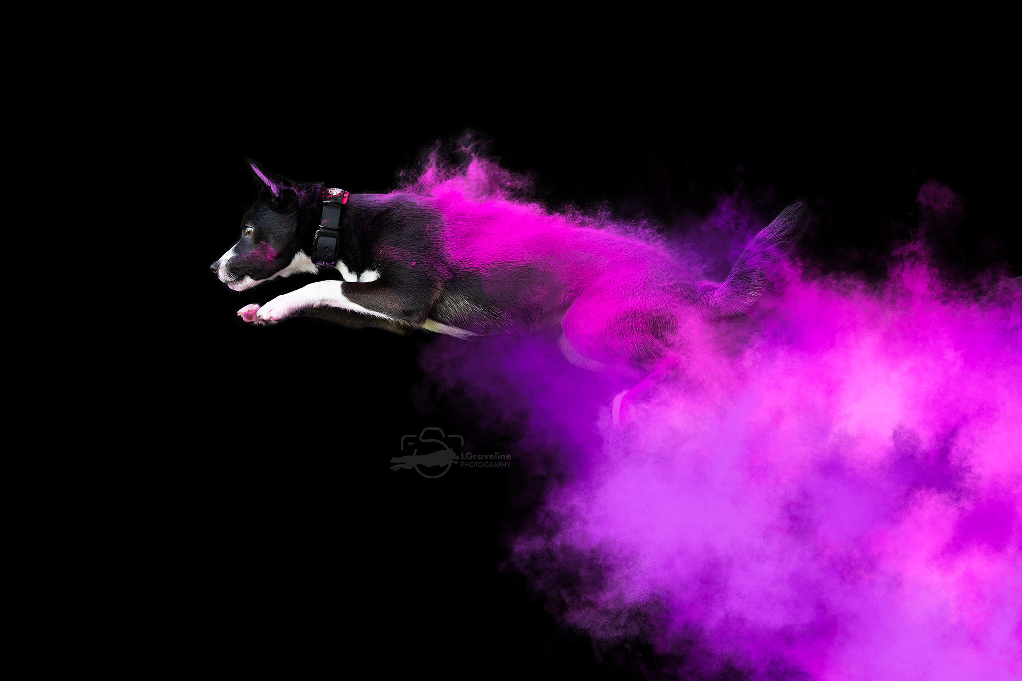 Venus Furry People Productions venus-furry-people-productions
