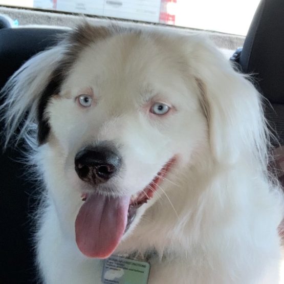 Luna