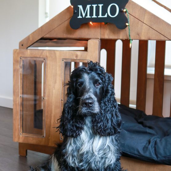 Milo