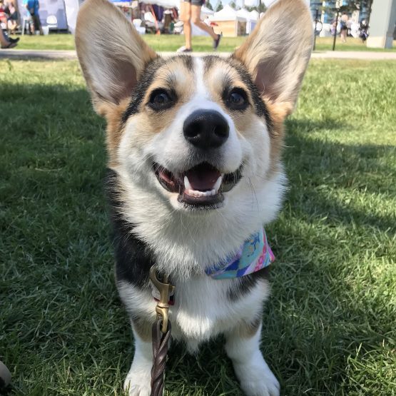 Zwei