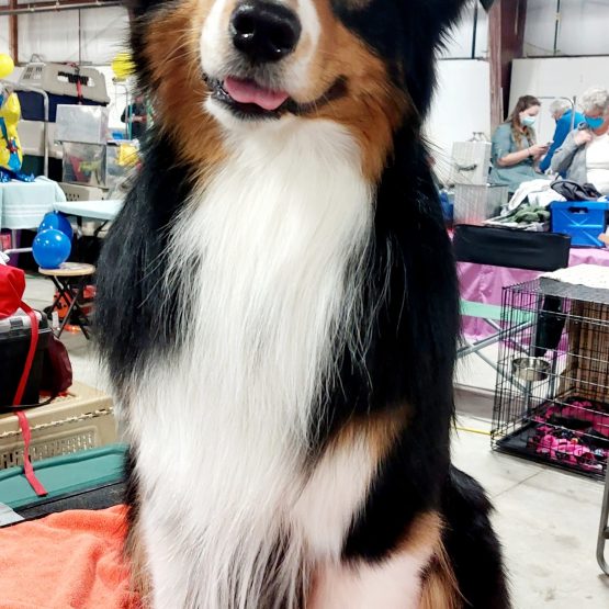 Linus