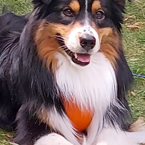 Linus