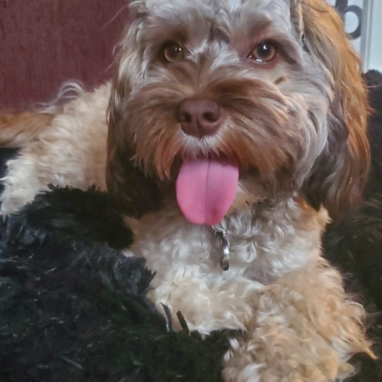 Kona