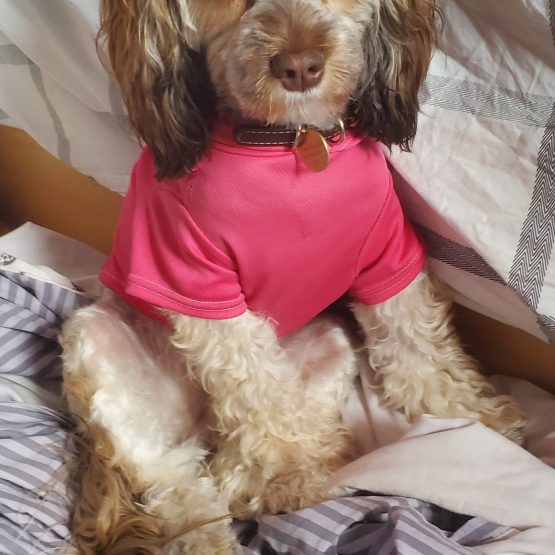 Kona
