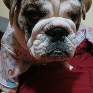 Lola