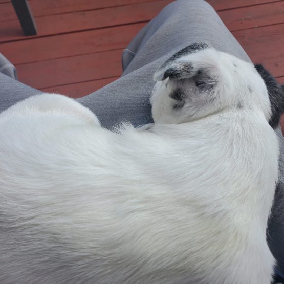 Max
