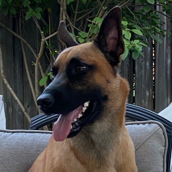 Kilo
