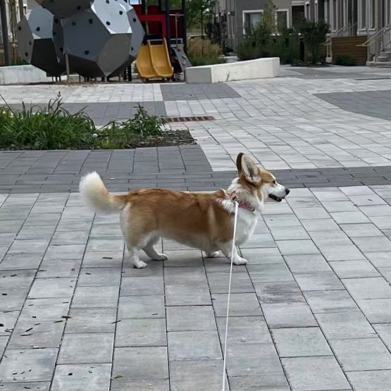 Winnie