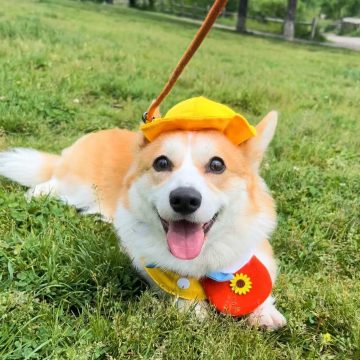 Winnie