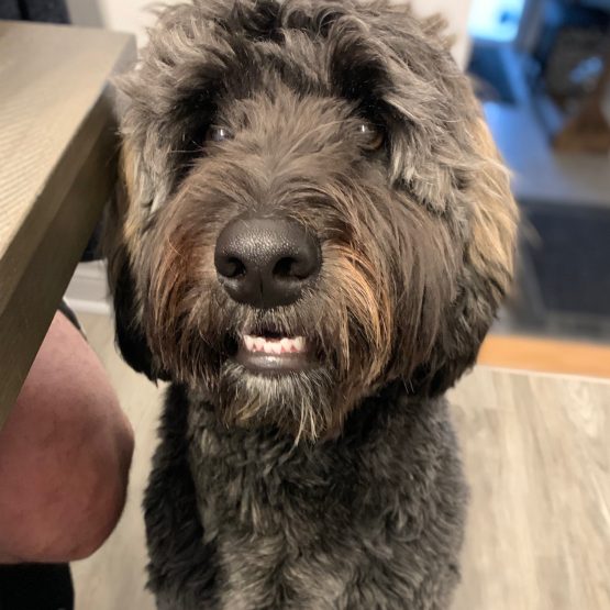 Jax