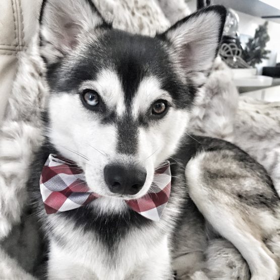 Kai