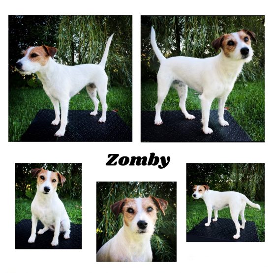 Zomby
