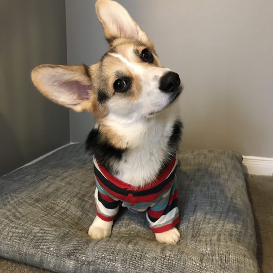 Zwei