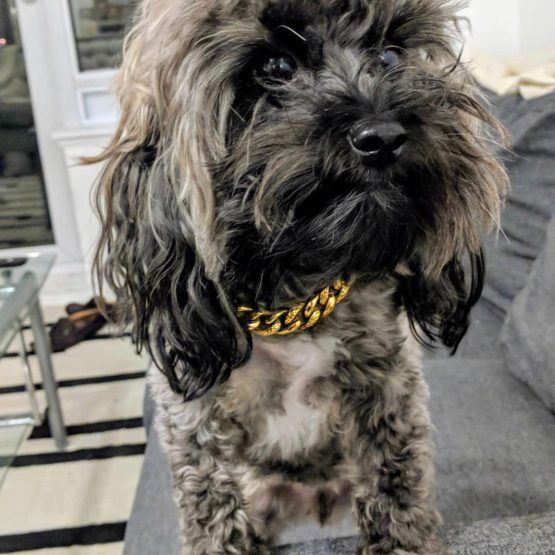 Benny