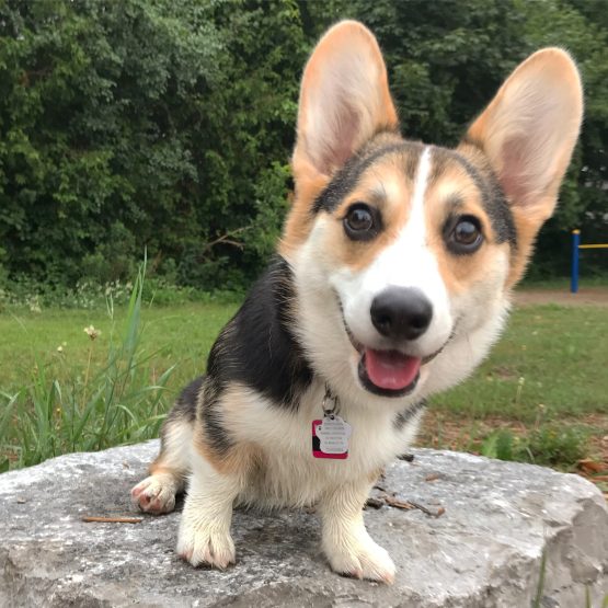 Zwei