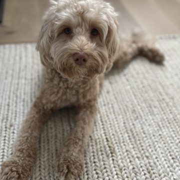 Luella