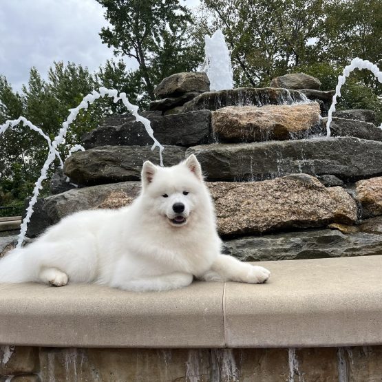 Duke