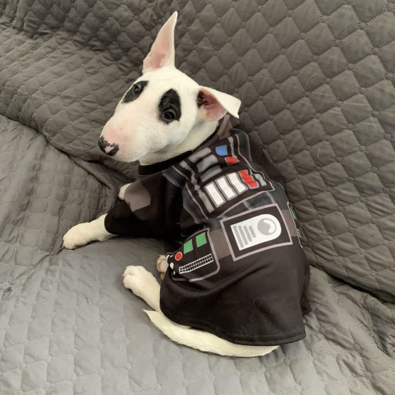 Padmé