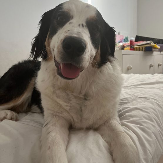 Luna