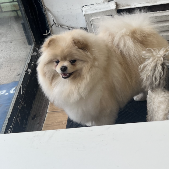 Rupert