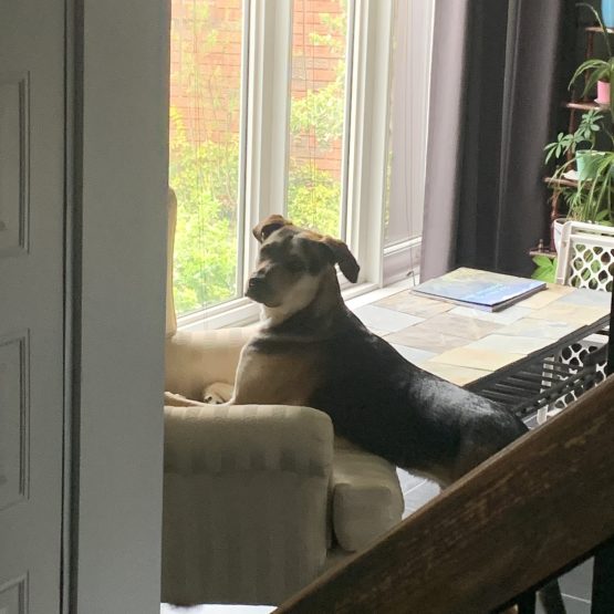 Opie