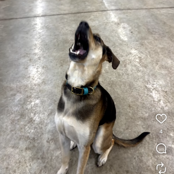 Opie