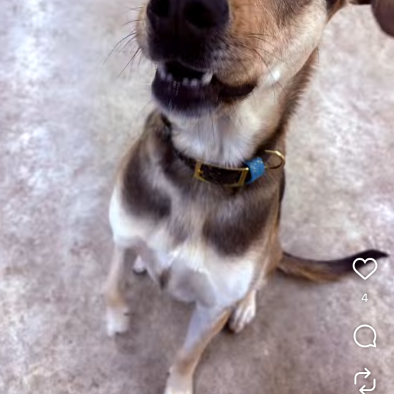 Opie