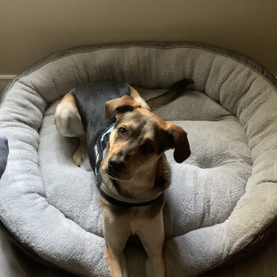 Opie