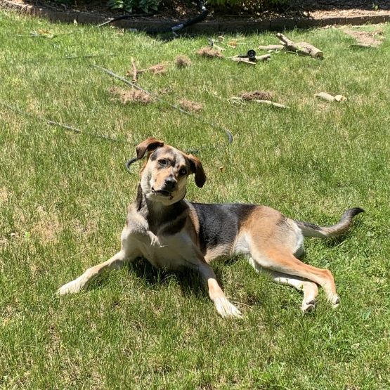 Opie