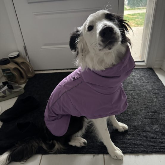Juno