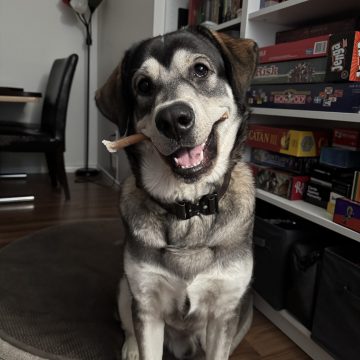 Maverick