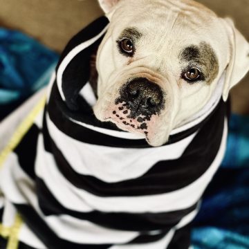 Hazel Mae