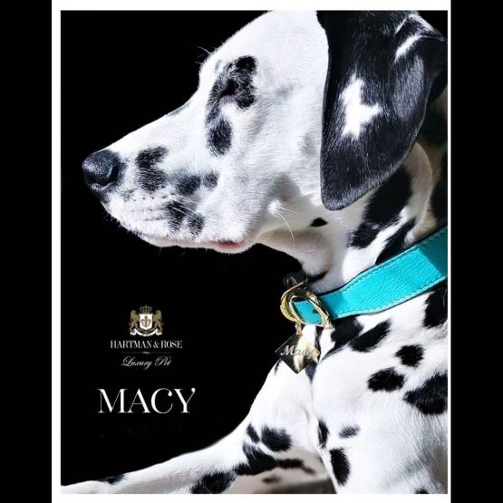 Macy