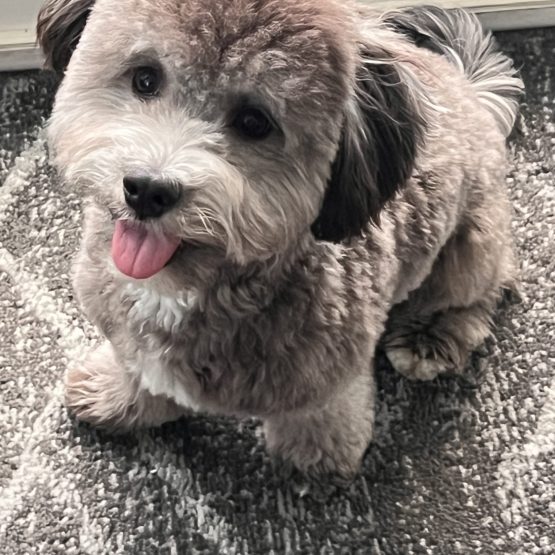 Milo