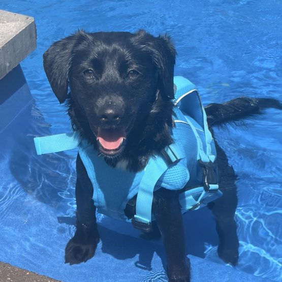 Murphy