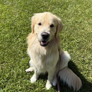 Tyson
