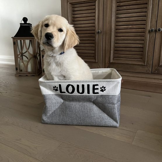 Louie