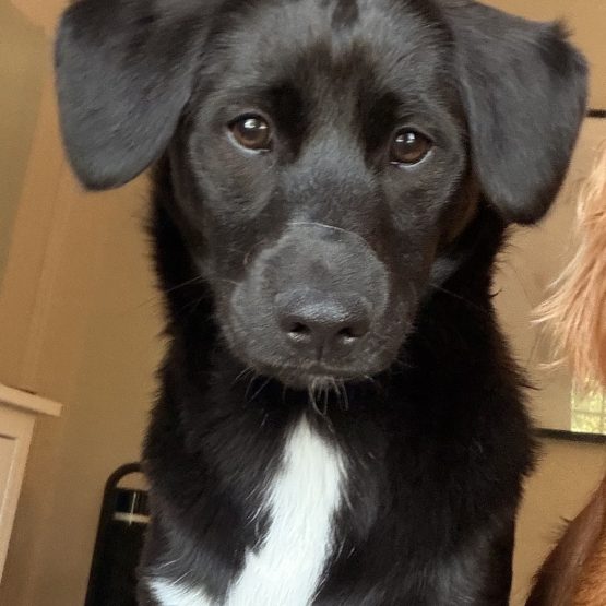 Murphy