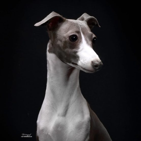 Laverne