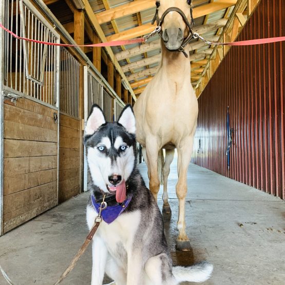 Atka
