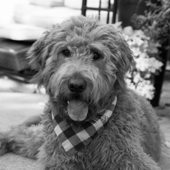Hudson