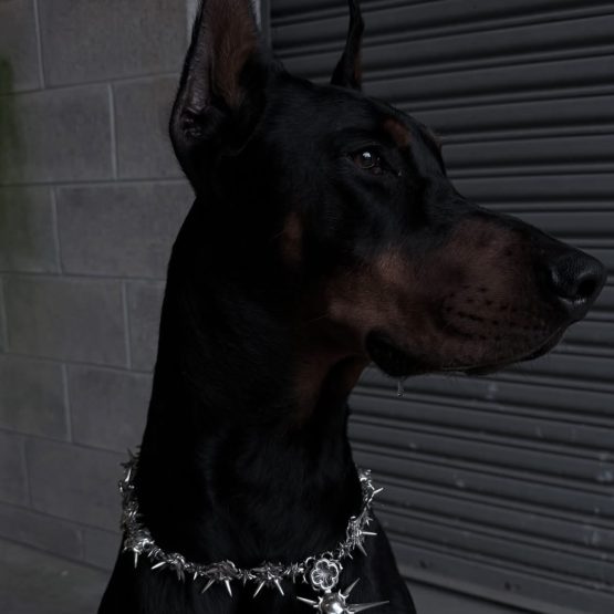 Onyx