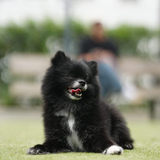Koby