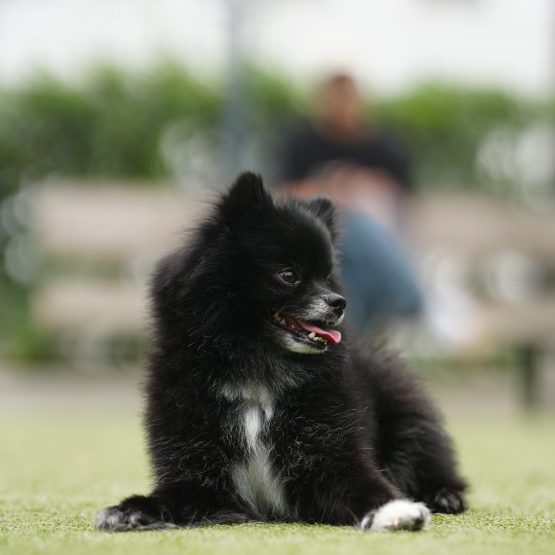 Koby