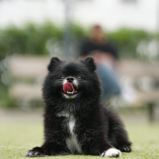Koby