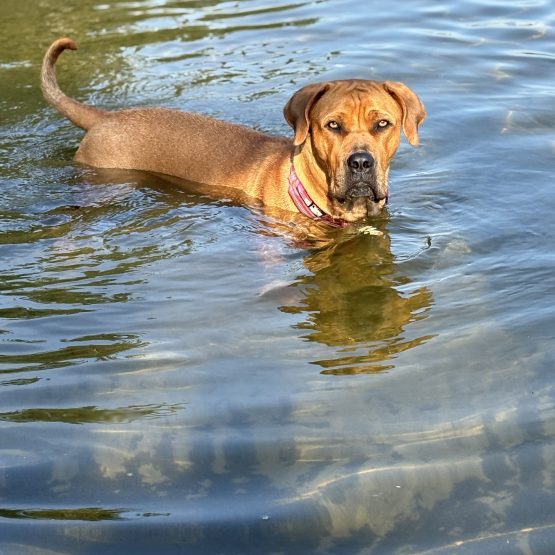 Marlowe