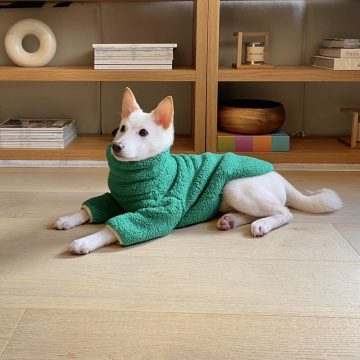 Yoshi